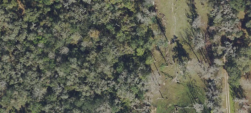 Income-Producing Land with Development Potential