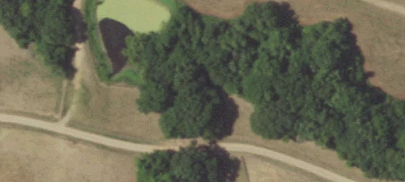 62-Acre Estate with Equestrian Amenities