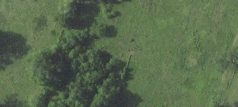 44.9-Acre Ranch Between Glen Flora