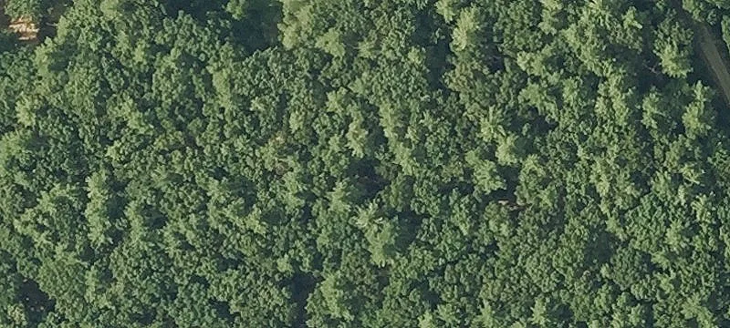 14.43 Acres Wooded Land