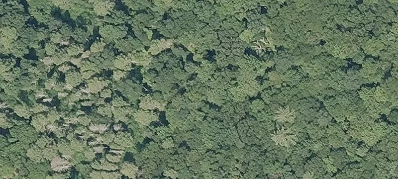 Somers Wooded Lot Opportunity