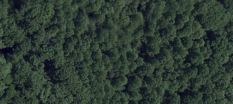 Land Ready for Development