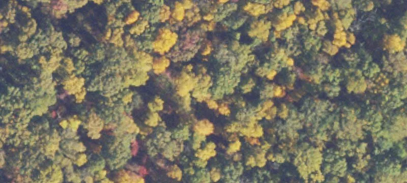 Raw Land on James Madison