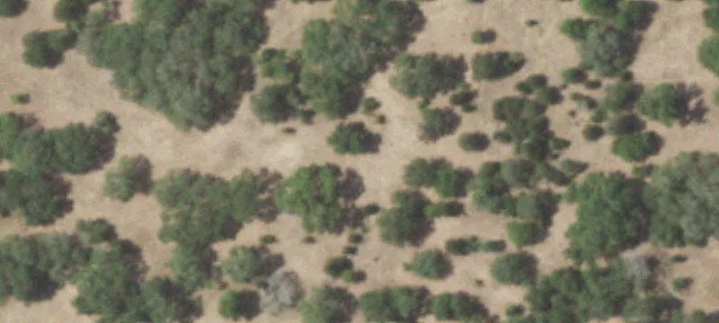 1051 Acres Ideal Dream Property