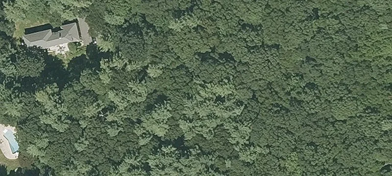5.13 Acre Wooded Lot