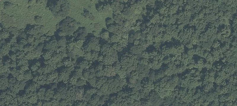 75+/- Acres Rolling Land Medford