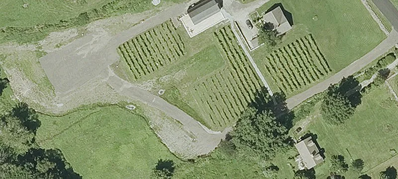 Historic Lebanon Farm with Vineyard