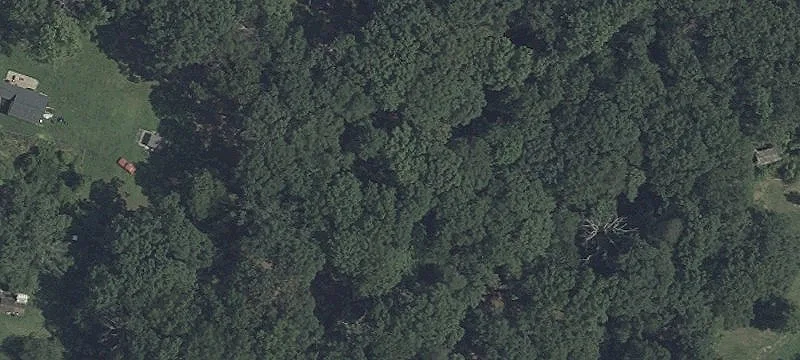 Private Wooded Lot Opportunity