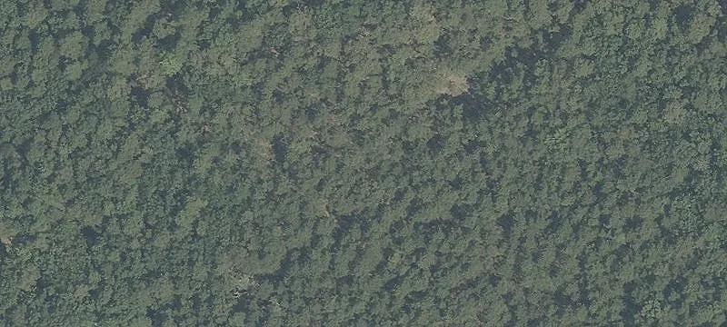 Residential Land in Freehold Township