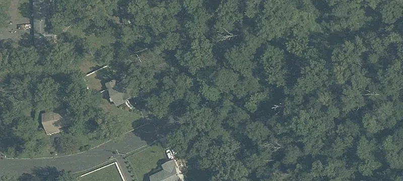 Lake Nelson Vacant Land Opportunity