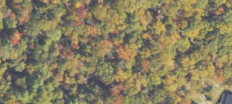 Land in Bull Run Mountain