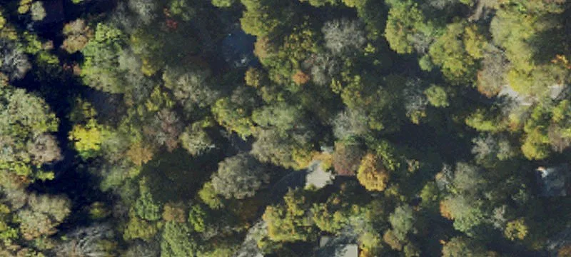 Land in High Country Location