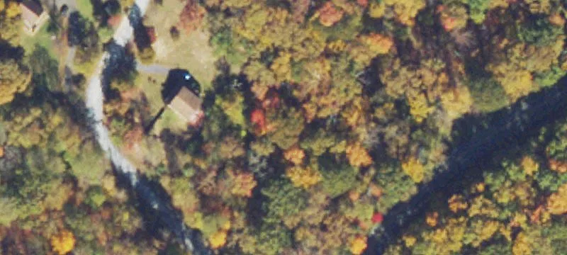 Wooded Lot in Established Community