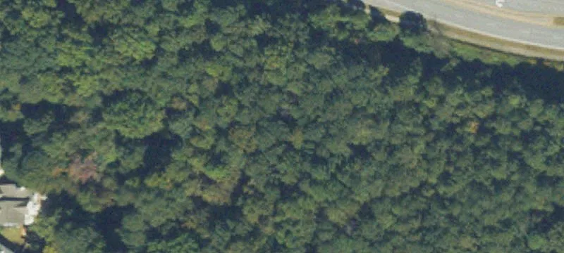 Commercial Land on McGinnis Ferry