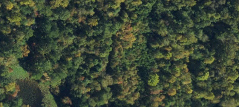 Wake County Acreage For Sale
