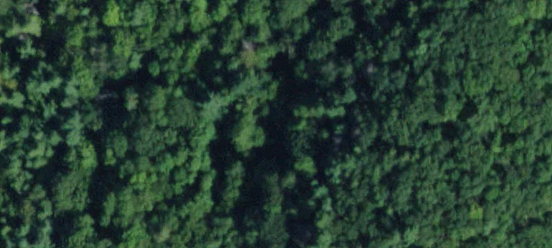 Undeveloped Land for Hunting, Hiking