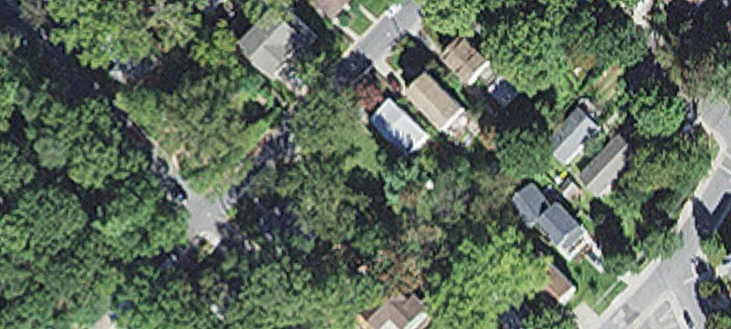 Takoma Park Vacant Lot