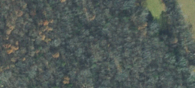 52 Acre Farm Land Available