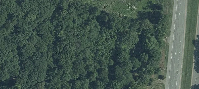 Wooded Lot Near La Plata