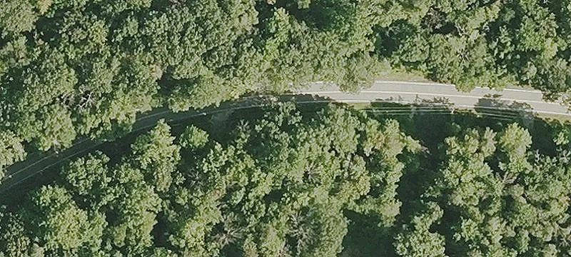 Forested Land in Winchester Center