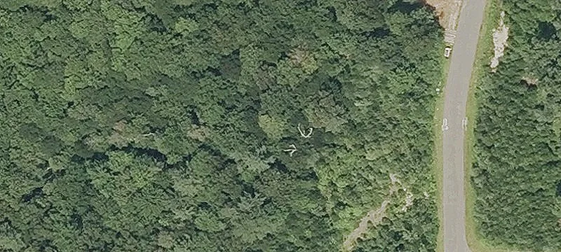 Residential Lot in Forested Subdivision