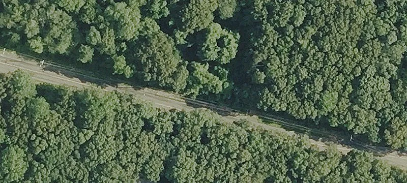 Private Wooded 3-Acre Building Lot