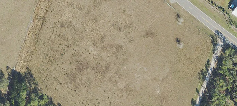 Cleared Pasture Land For Sale