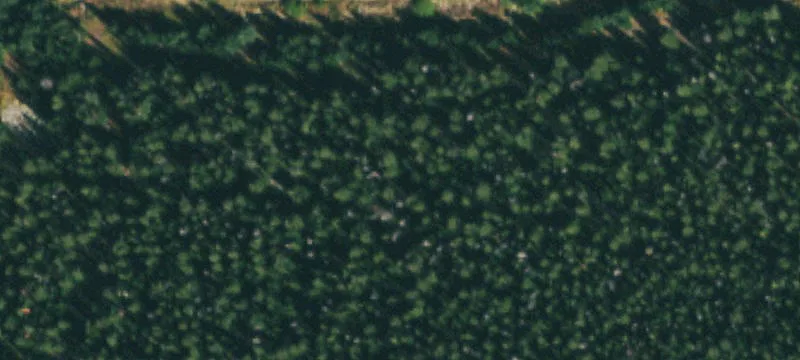 373 Acres at St Mary's
