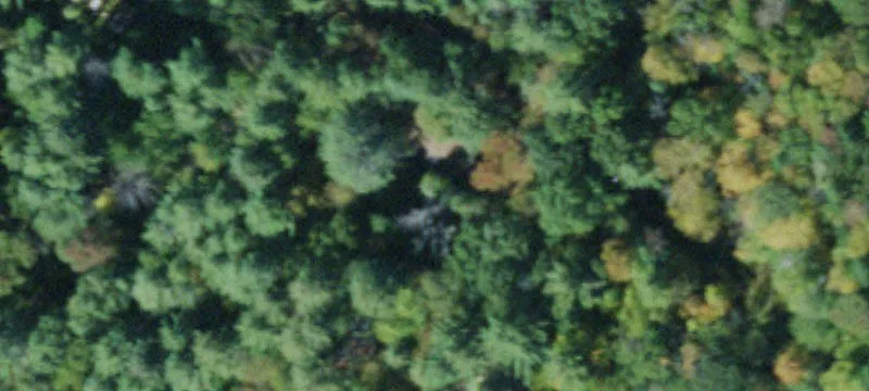 Residential Land Near Flowing Creek