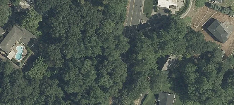 Mountainside Wooded Lot Opportunity