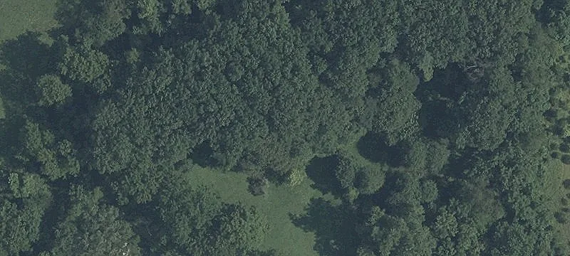19+ Acre Preservation Building Lot