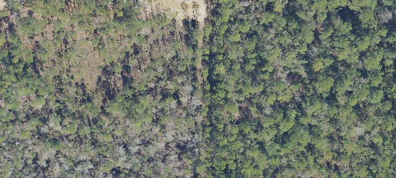 Unrestricted Land in Milton, Florida