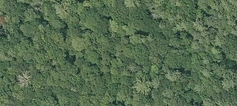Litchfield County Land Parcel