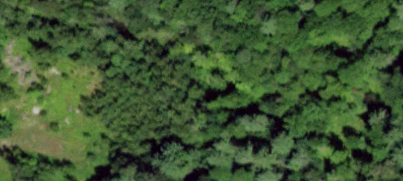 Land in Lake George School