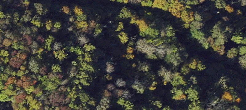 Sloping Lot with Potential View