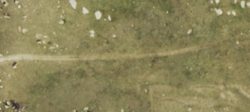 35 Acre Lot in Staghorn