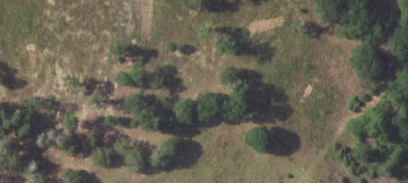 22.35 Acres in Cat Spring