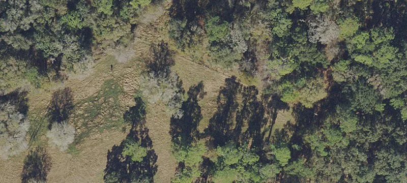 Expansive Cattle Ranch in Webster