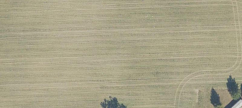 Pasture Land with Mobile Home