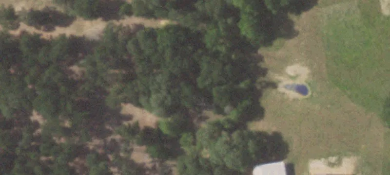 Wild Turkey Ranch Near New Ulm