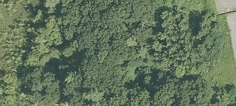 Commercial Land with High Potential