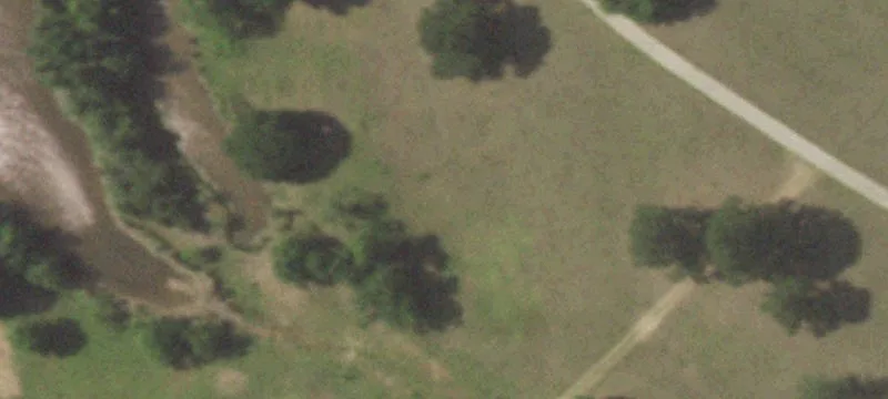 Bellville Estate with Acreage
