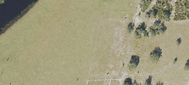 Florida Sanctuary with Lake Access
