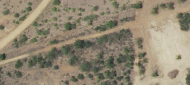 Untouched Hill Country Land in Art