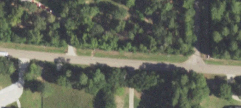 Unrestricted Land in Growing Magnolia