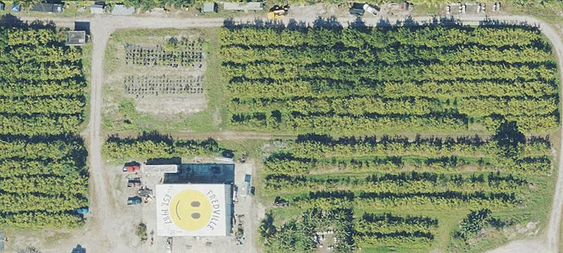 Davie Agricultural Property with Grove