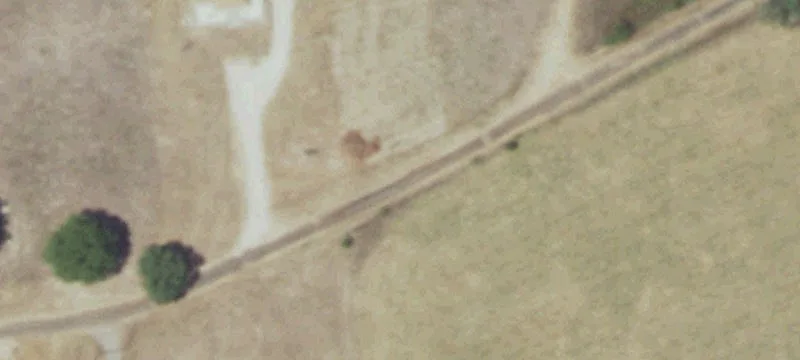 Picturesque Acreage Near Palestine, Texas