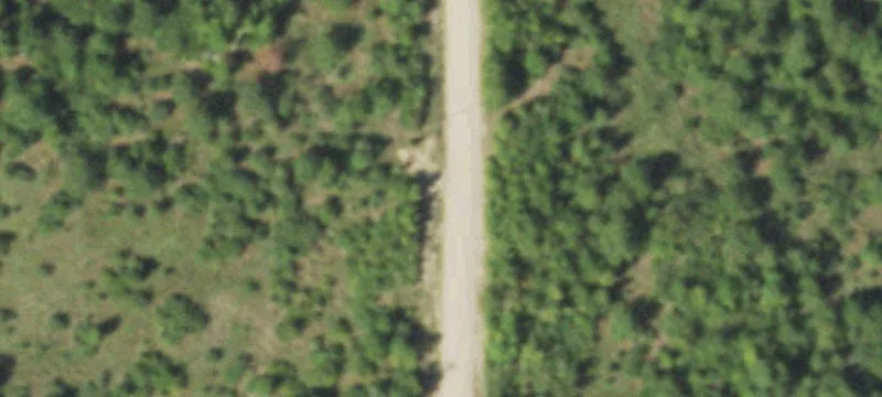 East Texas Land for Sale