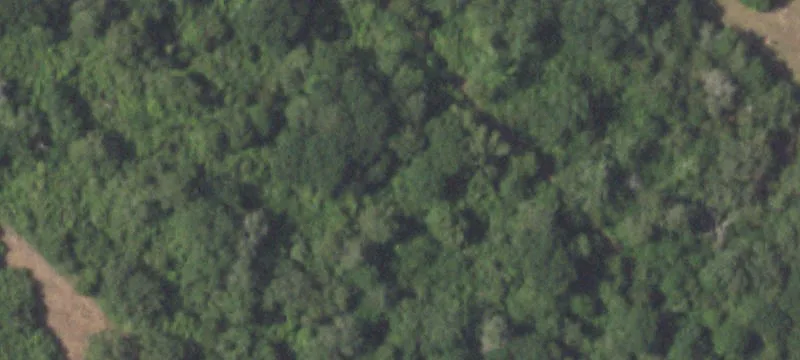 42 Acres of Versatile Land