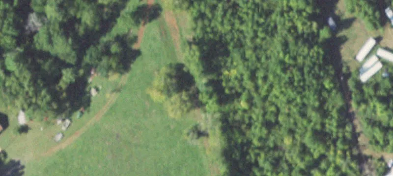 East Texas Land Tract